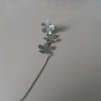 ��ѧ��ʦ������