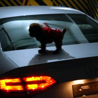 A4L2800���ﱣ�����ݻ�̨�������ٺ����