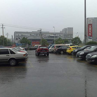 �����ţ������