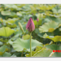 6��14�� �п������о�����Ƭ---�ɻ���������