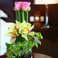 ����������