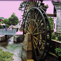 �����п��ų�