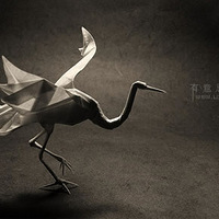 ����ֽ��