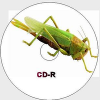 ���Ի����̣�����ƽʱ��������Ŷ����