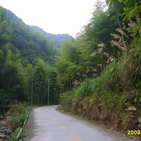 ���ָ�����ĺõط���