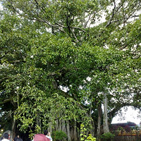 �������������֡�