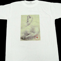 ����С�����ǣ� �룡