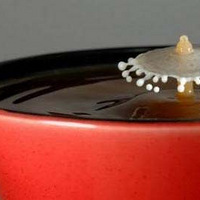 ��ţ�̵��뿧�ȵ�˲�䣡~