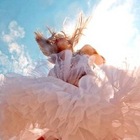 ��.�Ѽ����Ҫ���ʡ�.��