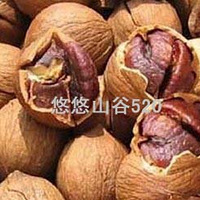 �����ջ�����ũ��ɽ��