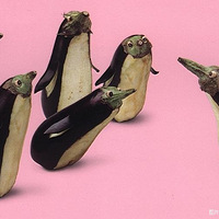 ��ֻ�ǿɰ�Ӵ��