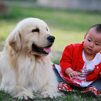 ��г�Ļ���