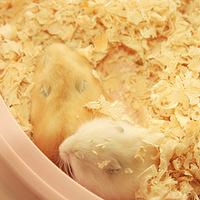 ♥ Lovely ♥ С�����ռ� <��TB���͵�ˮ������>