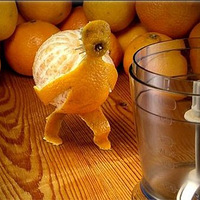 ˮ��Ҳ����