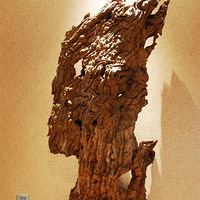 һЩ�д���Ķ��������ϸ����С���������