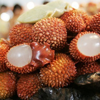 ����������ʯͷ��