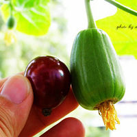 �Լ��֣��Լ���֮���ƪ~~~��