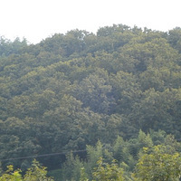 ���ϲ����ɽ������