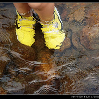 0913FBϵ��֮��----�²�˭�Ľ�