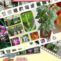 ����Ϣ...������ũ�����ˣ������Լ������֣��ջ��Ͷ���ʵ����