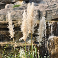 ����  ����  �»�