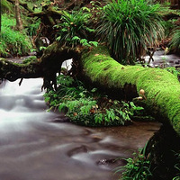 ��ɽ��ˮ ������Ŀ