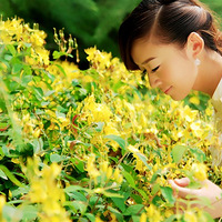 椵�д�棬�����£�����