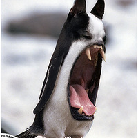 HumanDescent�����ĺϳɶ���