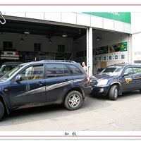 ��Ⱥ��������