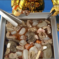 ���ⷷ��-----ʳ���