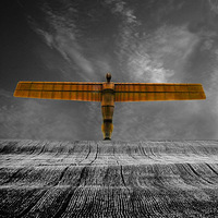 ������ͼ����