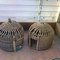 ɹɹ���Ǽ�¶̨�ϵ�ʳ����