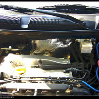 ��С�������������ֵ����о��ˣ��Լ����ָ��������������ɣ�