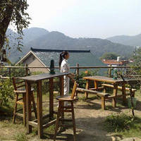 �������Ʋ�����Լ