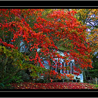 ��ͼ����