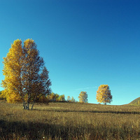 ���Ͻ���