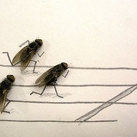 �� �� Ӭ �� �� ��