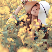 �ڼ�����