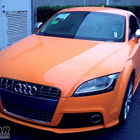 ������TT�չ�Ⱥ���~~~~