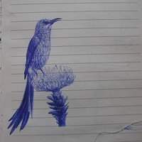 ��������Բ��ʻ��ģ�ǿ