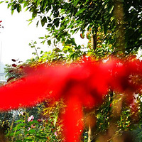 ������С����ɫ