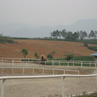 �Բ���ɹ���ף�أ�