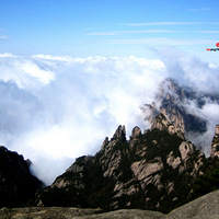 ��ɽ��˶ཿ��������Ӣ������������