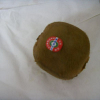 ⨺��ҹ�����Ӫ���û��ǽ��ڵ�Ӫ�����أ�