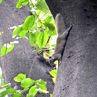 һ���������ȥ����ɽ