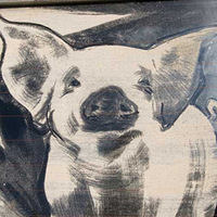 �ɳ��ϵľ��˻滭