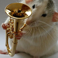 Ϊ������һ��