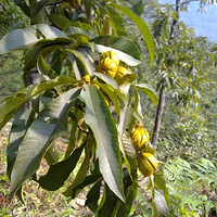 ��������ɹɹɽ���ҵ�����ȫ���̰�=^_^=