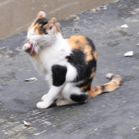 �Ҽ�¥�µ�ģ��������