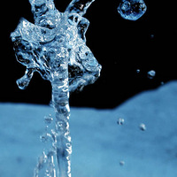 �������׵�ͼƬ